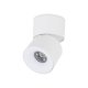 Lampa reflektor spot LED 10W SPARK WHITE CCT 18168 TK Lighting