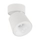 Lampa reflektor spot LED 12W KYOTO WHITE 18136 TK Lighting