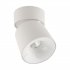 Lampa reflektor spot LED 7W KYOTO WHITE 18134 TK Lighting
