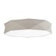 Lampa sufitowa KANTOOR NATURE 6196 TK Lighting